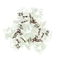 Multi-heme Protein Sequence
